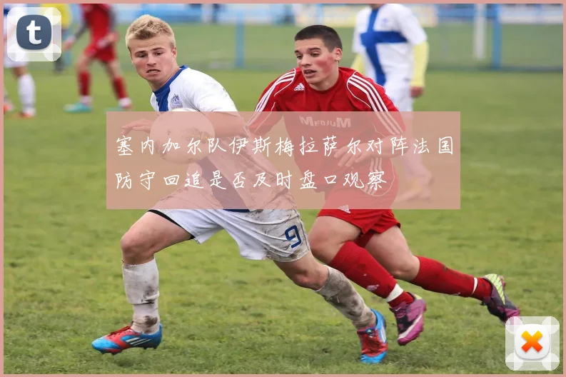 塞内加尔队伊斯梅拉萨尔对阵法国防守回追是否及时盘口观察