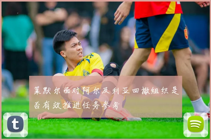 莱默尔面对阿尔及利亚回撤组织是否有效推进任务参考