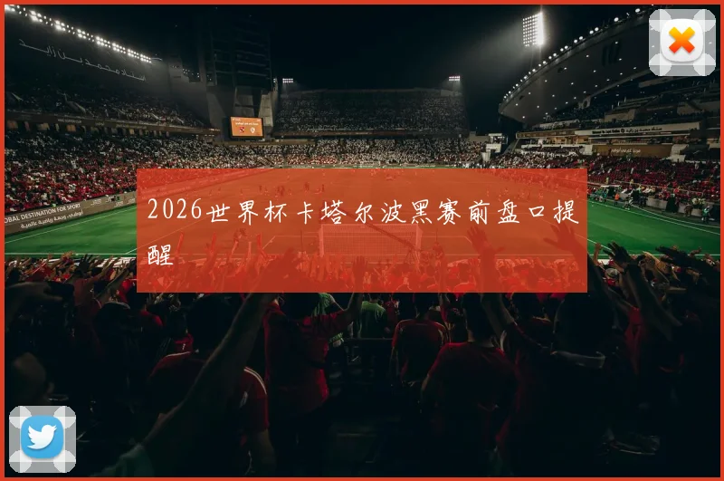 2026世界杯卡塔尔波黑赛前盘口提醒