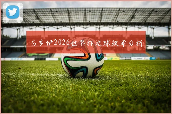 戈多伊2026世界杯进球效率分析