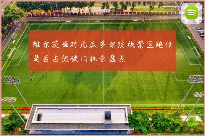 维尔茨面对厄瓜多尔防线禁区跑位是否占优破门机会盘点