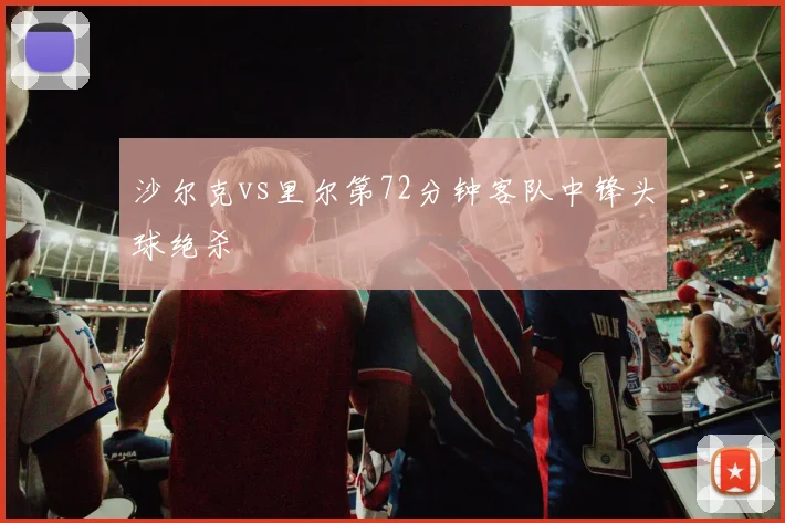 沙尔克vs里尔第72分钟客队中锋头球绝杀